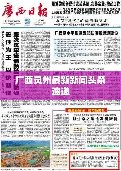 广西灵州最新新闻头条速递