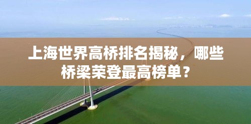 上海世界高桥排名揭秘，哪些桥梁荣登最高榜单？