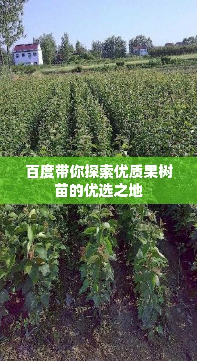 资料下载 第7页