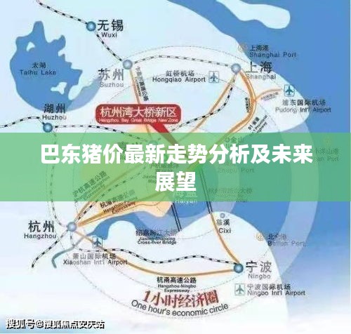 巴东猪价最新走势分析及未来展望