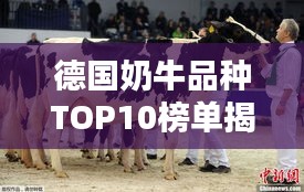 德国奶牛品种TOP10榜单揭晓！