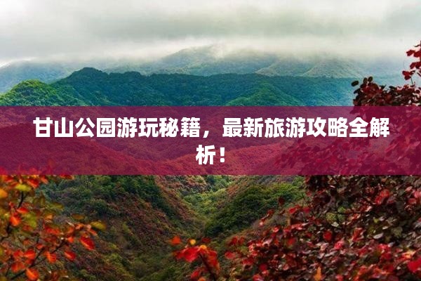 甘山公园游玩秘籍，最新旅游攻略全解析！