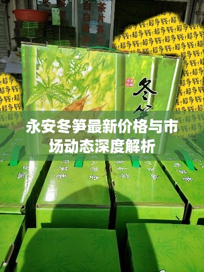 永安冬笋最新价格与市场动态深度解析