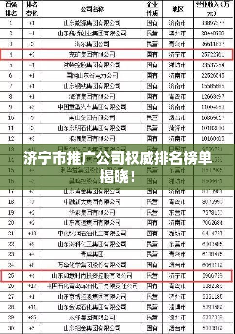 济宁市推广公司权威排名榜单揭晓！