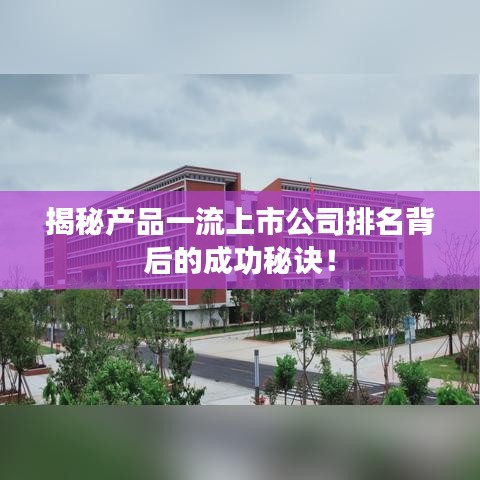 揭秘产品一流上市公司排名背后的成功秘诀！