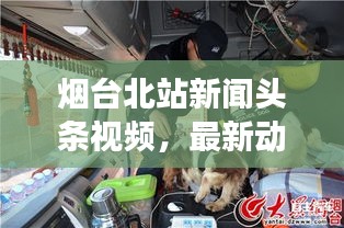 烟台北站新闻头条视频，最新动态解读速递