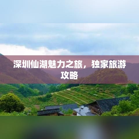 深圳仙湖魅力之旅，独家旅游攻略