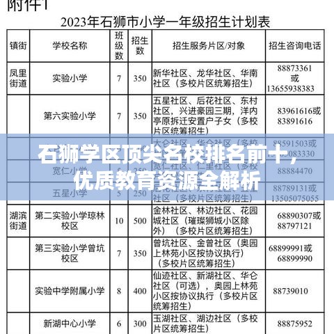 石狮学区顶尖名校排名前十，优质教育资源全解析