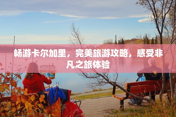 畅游卡尔加里，完美旅游攻略，感受非凡之旅体验