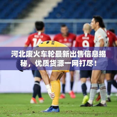 河北废火车轮最新出售信息揭秘，优质货源一网打尽！