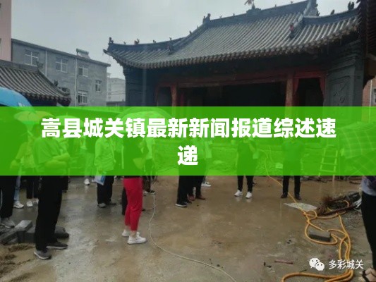 嵩县城关镇最新新闻报道综述速递