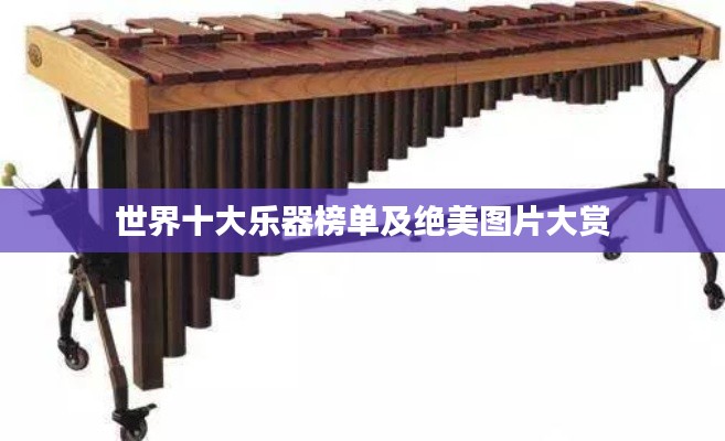 世界十大乐器榜单及绝美图片大赏
