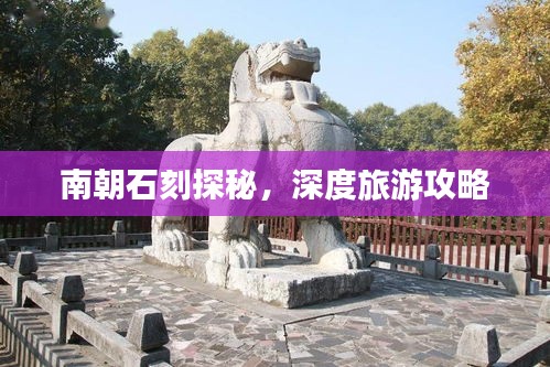 网站案例 第6页