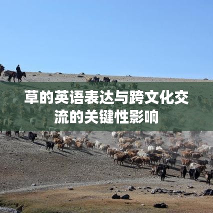 建站服务 第5页