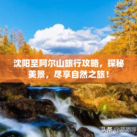 2025年4月 第3页