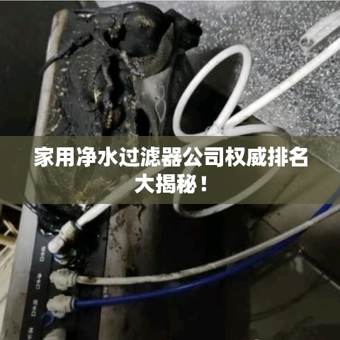 家用净水过滤器公司权威排名大揭秘！