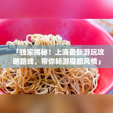 「独家揭秘！上海最新游玩攻略路线，带你畅游魔都风情」