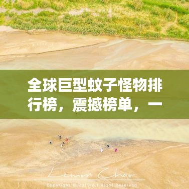 建站服务 第4页