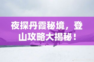 网站案例 第4页