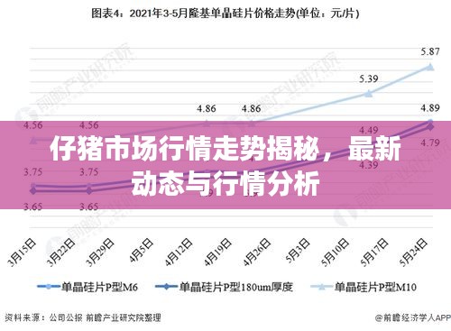 仔猪市场行情走势揭秘，最新动态与行情分析
