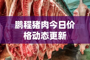 鹏程猪肉今日价格动态更新