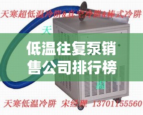低温往复泵销售公司排行榜揭晓，行业权威排名一网打尽！
