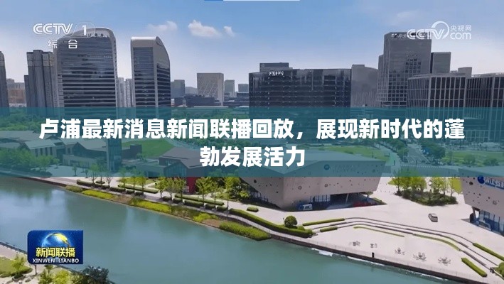 卢浦最新消息新闻联播回放，展现新时代的蓬勃发展活力