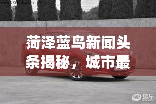 菏泽蓝鸟新闻头条揭秘，城市最新发展动态