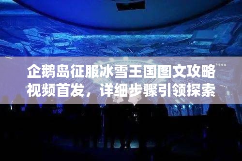 企鹅岛征服冰雪王国图文攻略视频首发，详细步骤引领探索之旅！