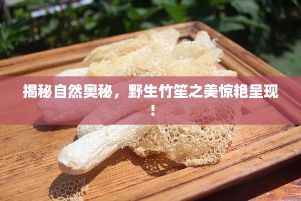 揭秘自然奥秘，野生竹笙之美惊艳呈现！
