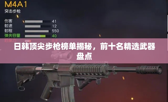 日韩顶尖步枪榜单揭秘，前十名精选武器盘点