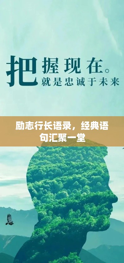 励志行长语录，经典语句汇聚一堂
