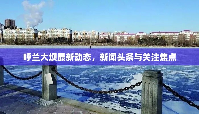 呼兰大坝最新动态，新闻头条与关注焦点