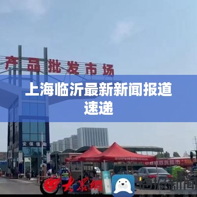 上海临沂最新新闻报道速递