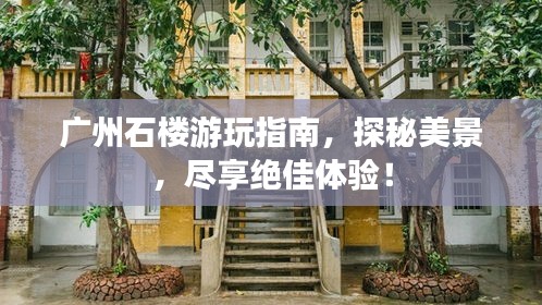 广州石楼游玩指南，探秘美景，尽享绝佳体验！