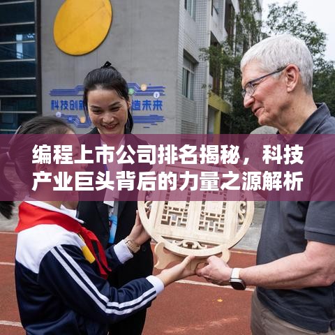 编程上市公司排名揭秘，科技产业巨头背后的力量之源解析！
