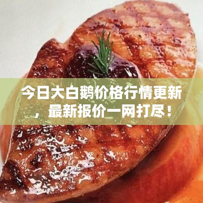 今日大白鹅价格行情更新,最新报价一网打尽!