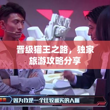 晋级猫王之路，独家旅游攻略分享