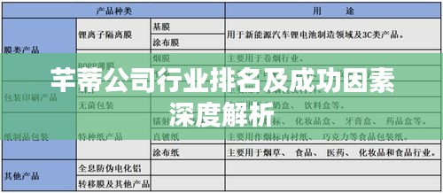 芊蒂公司行业排名及成功因素深度解析