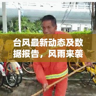 台风最新动态及数据报告，风雨来袭，你需要知道的一切