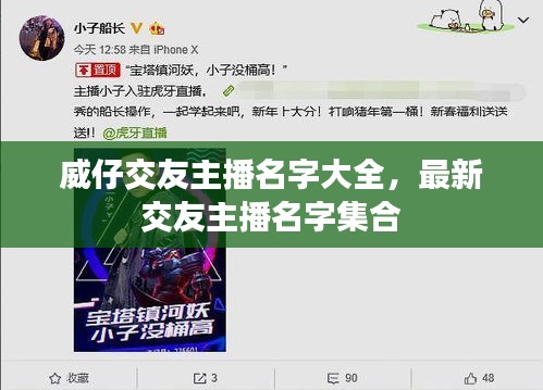 威仔交友主播名字大全，最新交友主播名字集合