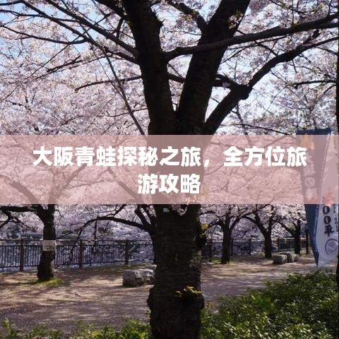 比翼鸟
