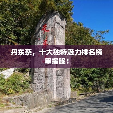 丹东茶，十大独特魅力排名榜单揭晓！