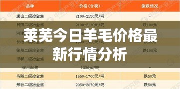 莱芜今日羊毛价格最新行情分析