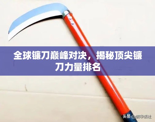 2025年6月3日 第5页