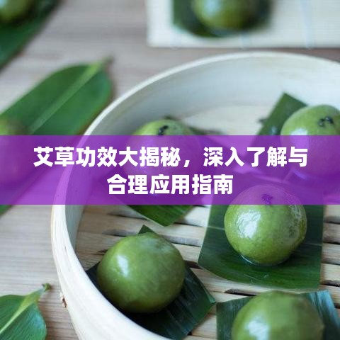 艾草功效大揭秘，深入了解与合理应用指南