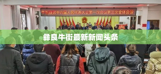 彝良牛街最新新闻头条