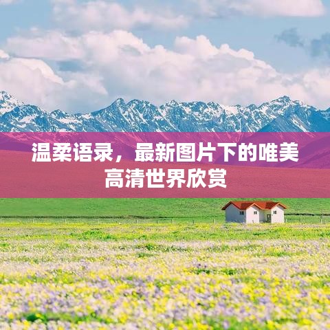 温柔语录，最新图片下的唯美高清世界欣赏