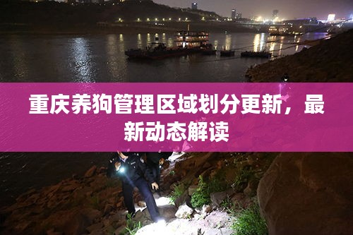 重庆养狗管理区域划分更新，最新动态解读