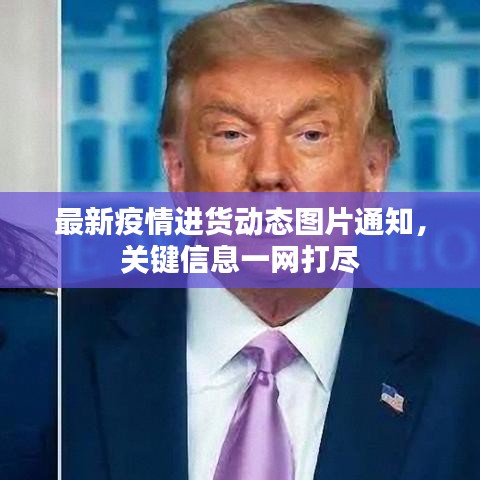 最新疫情进货动态图片通知，关键信息一网打尽